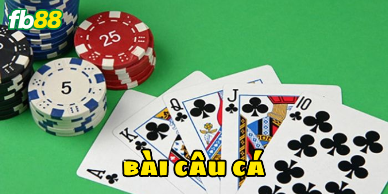 Bài Câu Cá có khó chơi không?
