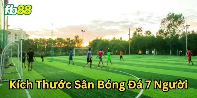 Các thông số trong Kích Thước Sân Bóng Đá 7 Người