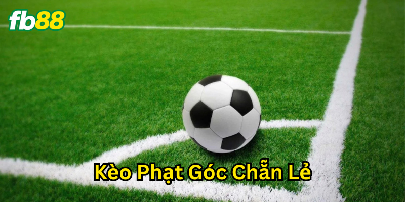 Kèo Phạt Góc Chẵn Lẻ được tính như thế nào?