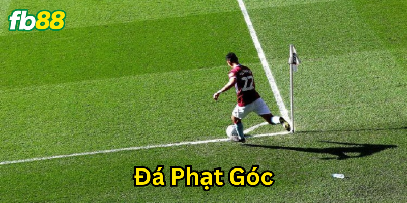 Mẹo hay bắt kèo