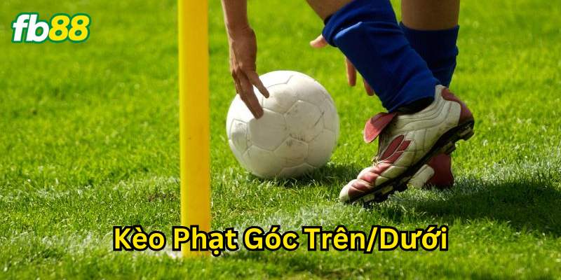 Các yếu tố ảnh hưởng đến Kèo Phạt Góc Trên/Dưới