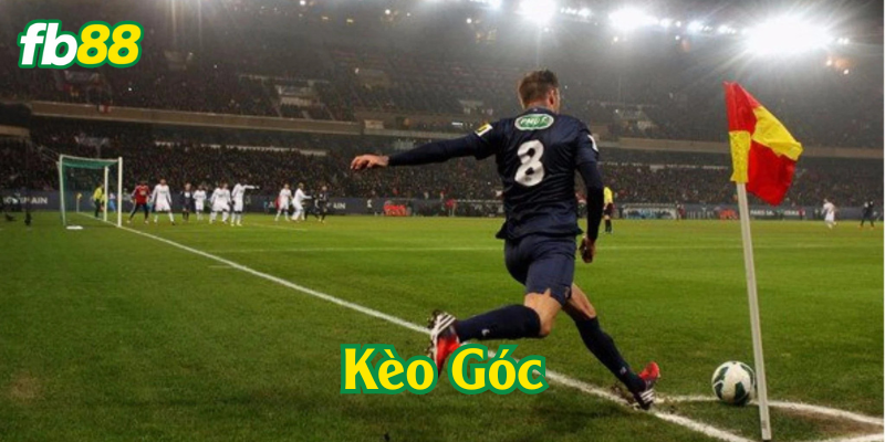 Mẹo hay soi Kèo Góc hiệu quả
