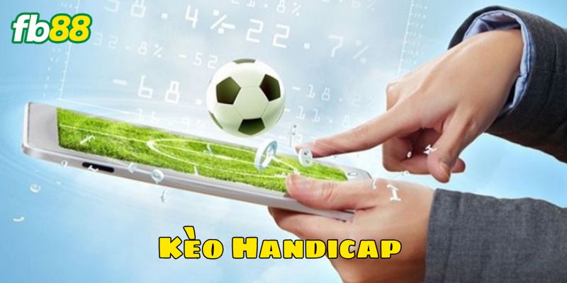 Cách đọc Kèo Handicap nửa trái một trái chuẩn xác
