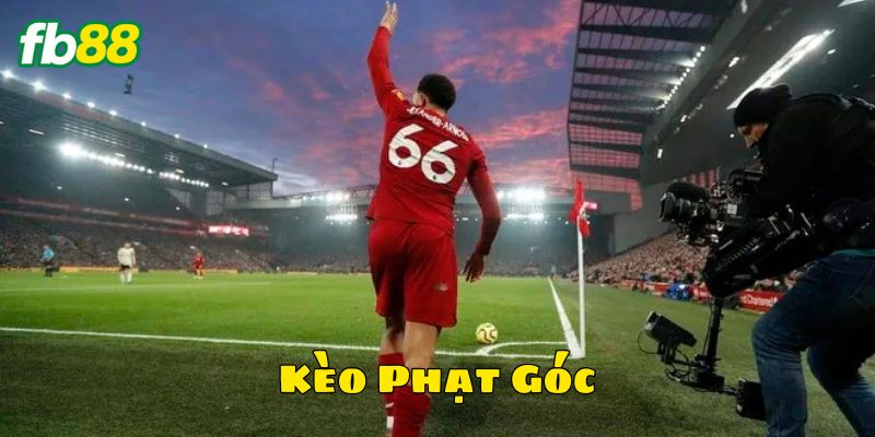 Cách đọc và đặt Kèo Phạt Góc hiệu quả