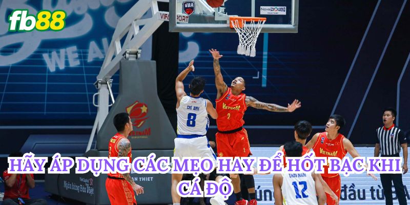 Cá Cược Bóng Rổ