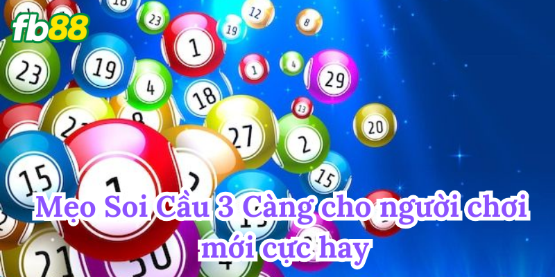 Soi Cầu 3 Càng