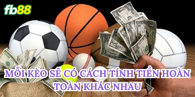 Cá Độ Bóng Đá