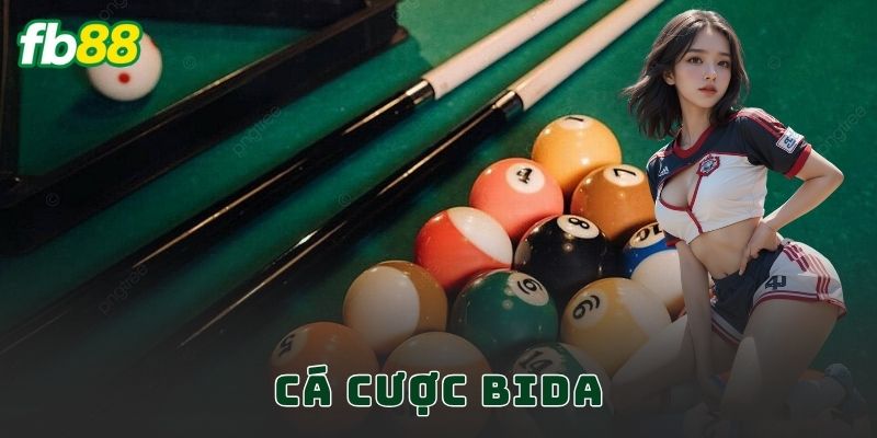Cá Cược Bida FB88