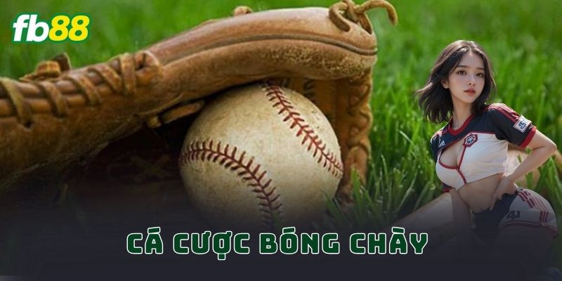 Cá Cược Bóng Chày