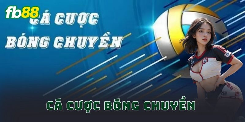 Cá Cược Bóng Chuyền