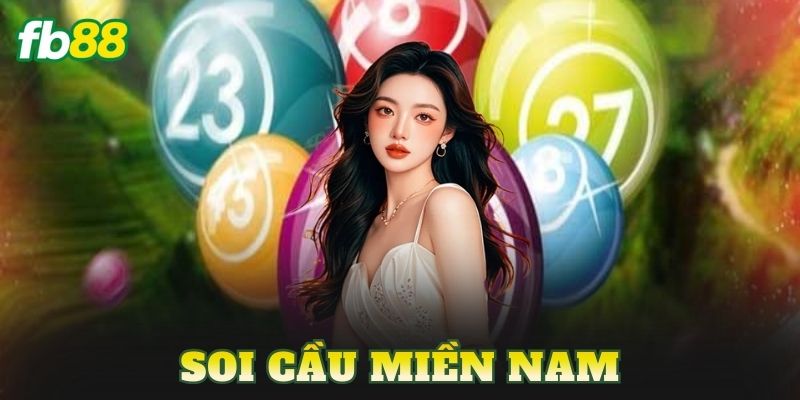 Soi Cầu Miền Nam