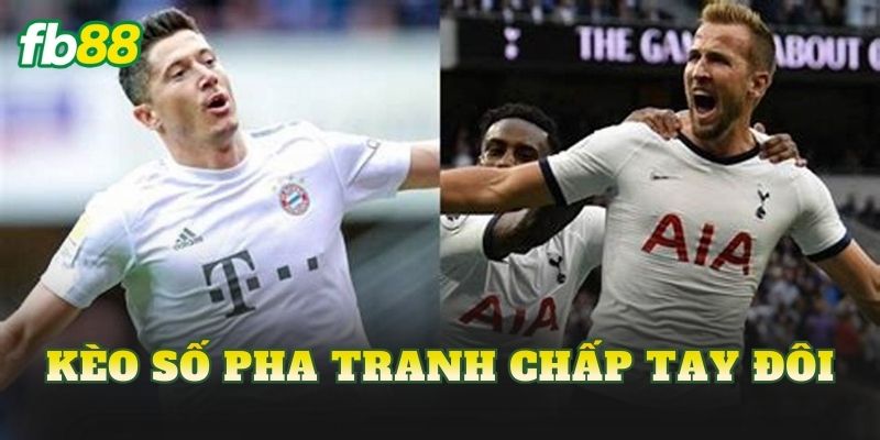 Kèo Số Pha Tranh Chấp Tay Đôi