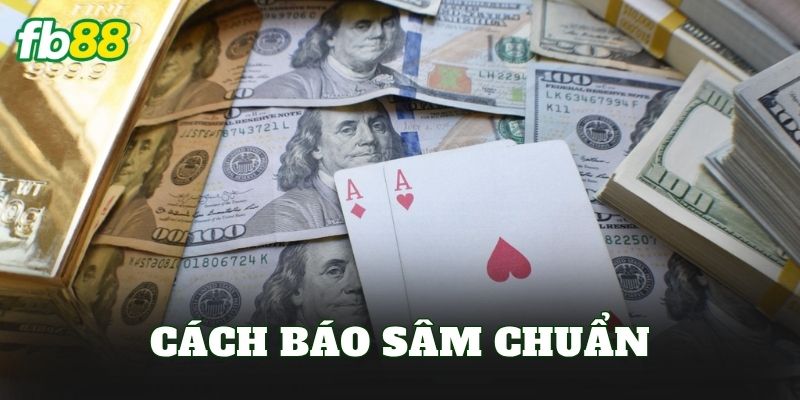 Cách Báo Sâm Chuẩn