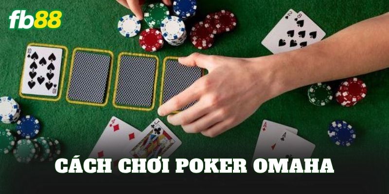 Cách Chơi Poker Omaha