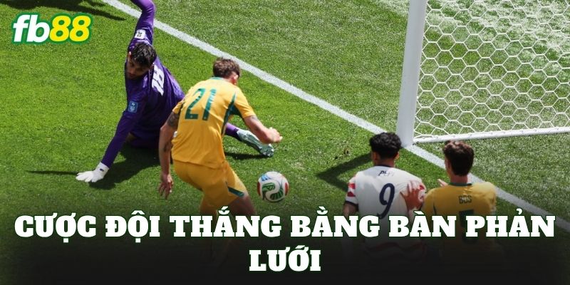 Cược Đội Thắng Bằng Bàn Phản Lưới